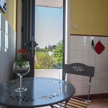 Casa Do Carvalhal - Natureza No Centro Da Cidade * سانتا ماريا دا فييرا