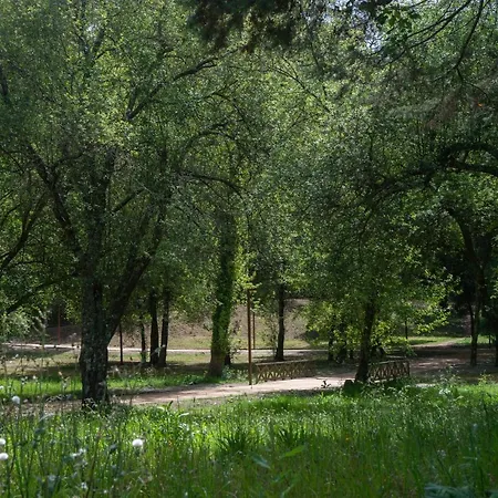 منزل ريفي Casa Do Carvalhal - Natureza No Centro Da Cidade *