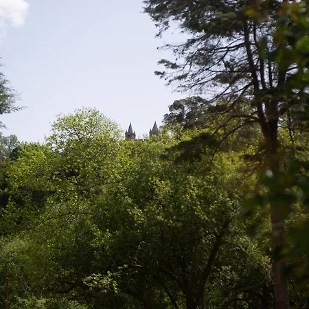 Casa Do Carvalhal - Natureza No Centro Da Cidade منزل ريفي
