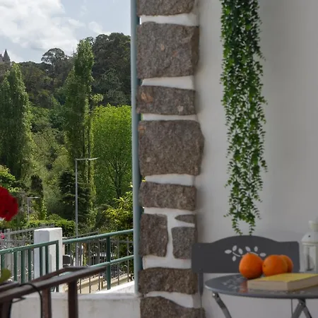 Casa Do Carvalhal - Natureza No Centro Da Cidade منزل ريفي *