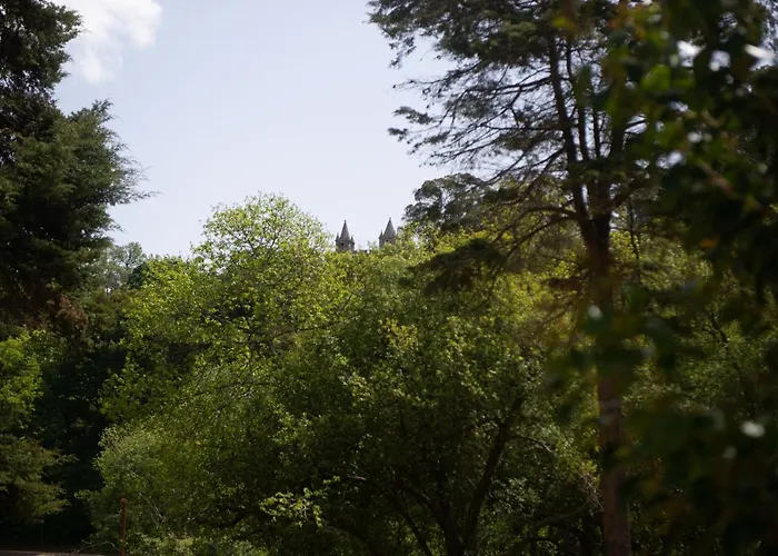 Casa Do Carvalhal - Natureza No Centro Da Cidade Country house