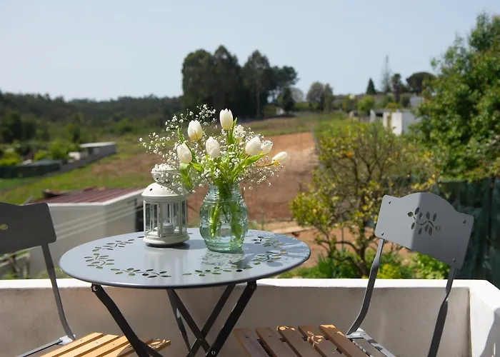 Casa Do Carvalhal - Natureza No Centro Da Cidade Country house